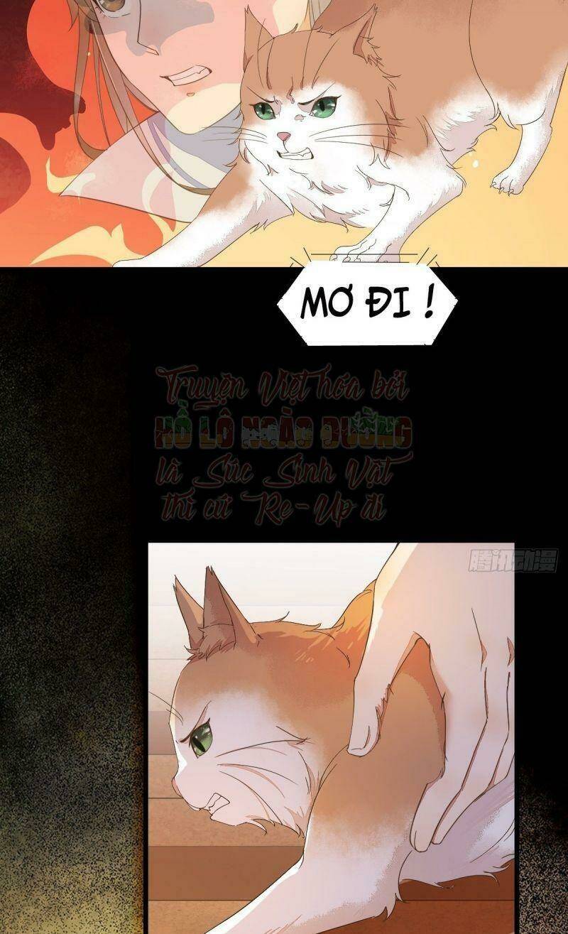 sát thủ vương phi không dễ chọc chapter 44 52