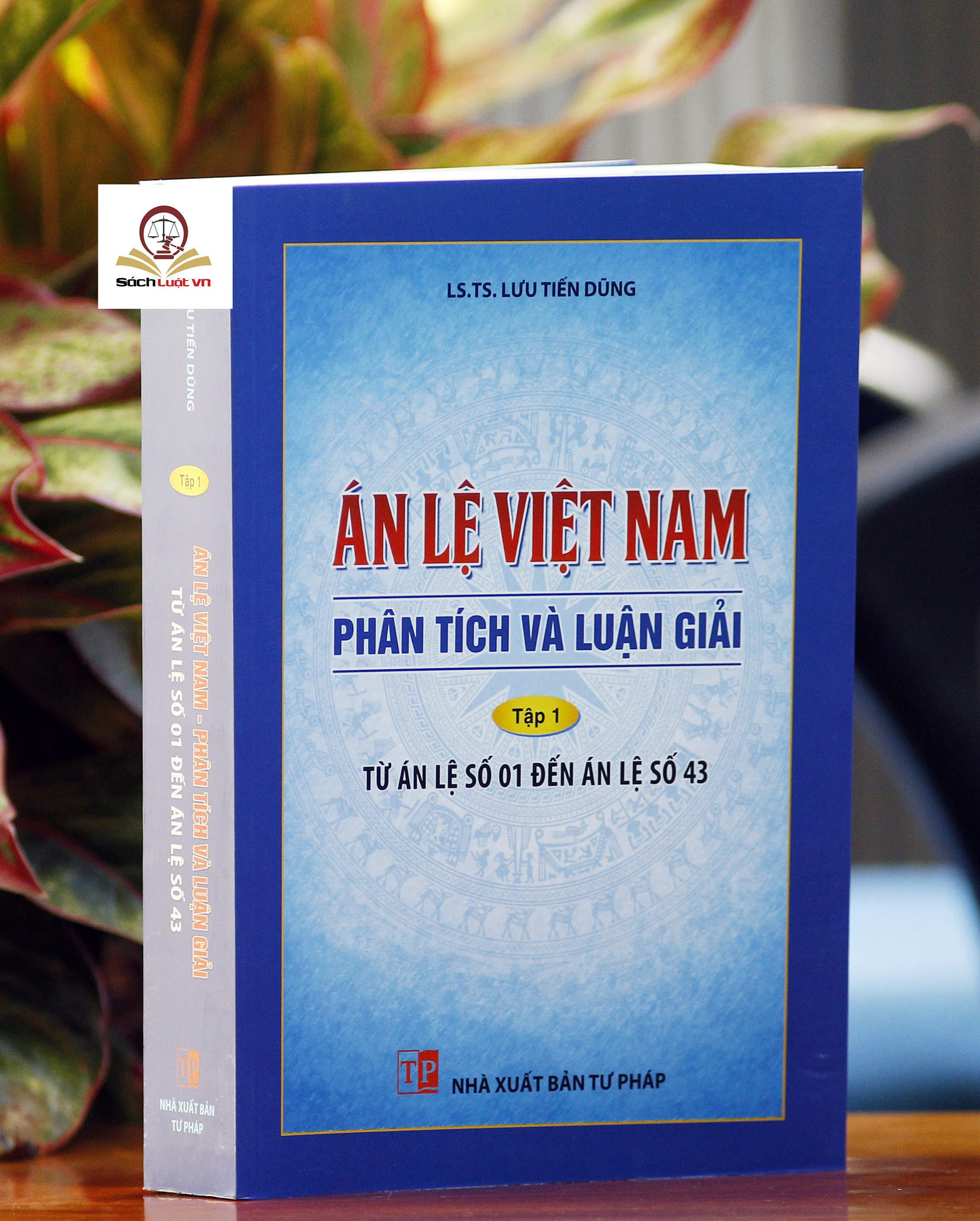 Án lệ Việt Nam - Phân tích và luận giải tập 1