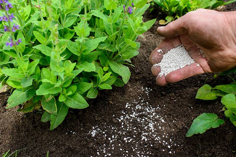 Phân NPK 20-20-15+TE Hạt 4 Màu Cao Cấp