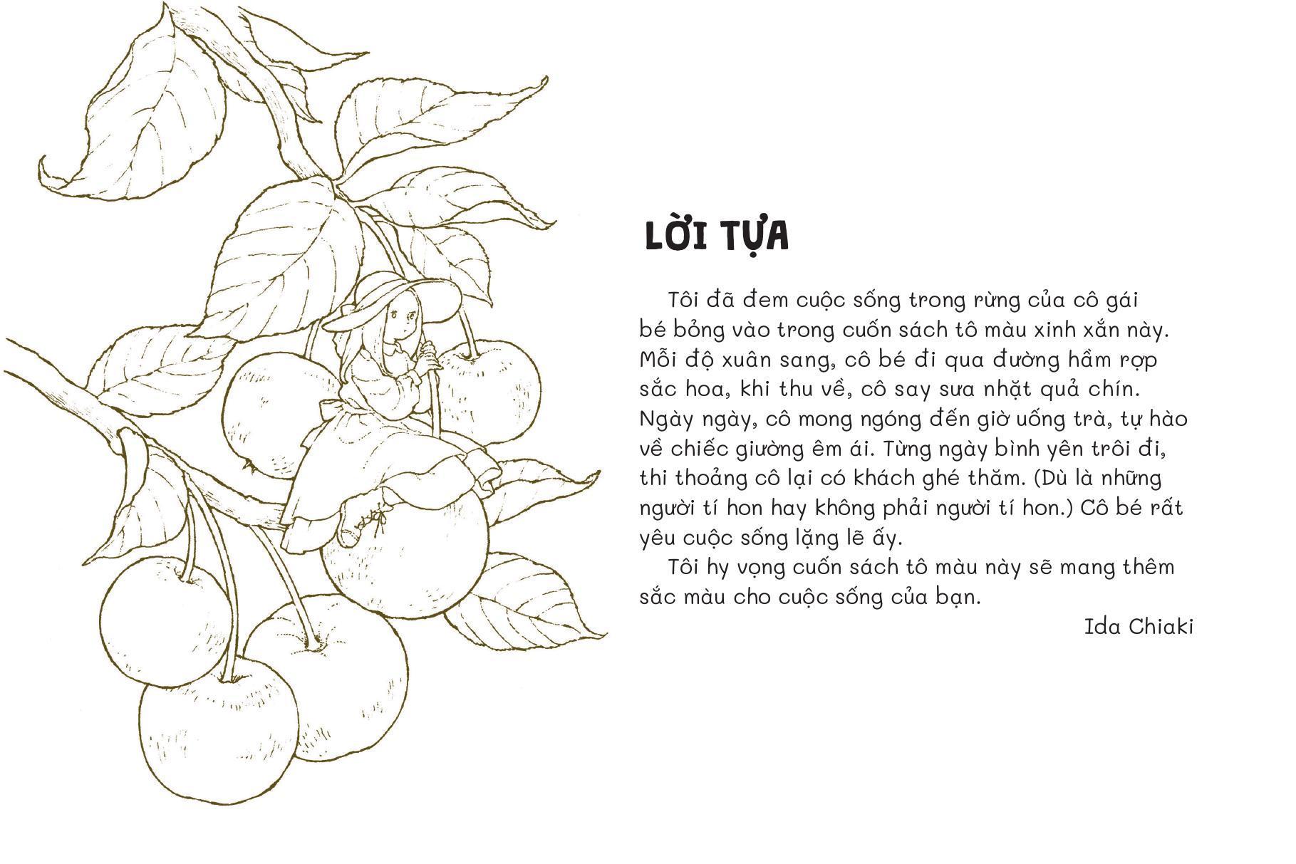 Sách - Sách Cửa Tiệm Trong Mơ - Nơi Trú Ẩn Bình Yên - Tiệm Postcard Trong Khu Rừng Nhỏ