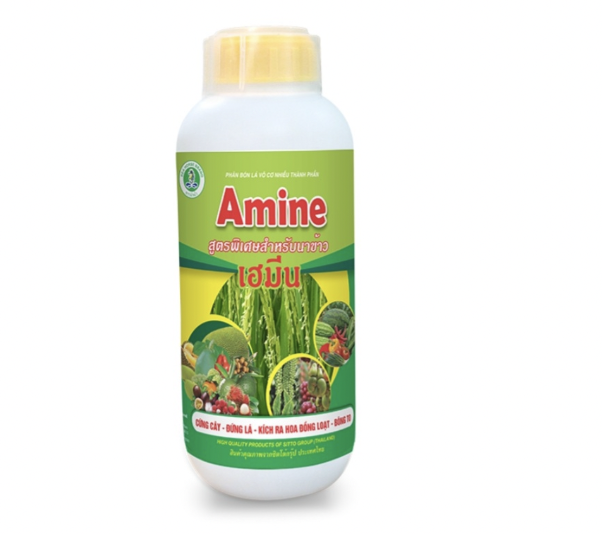 Amine kích ra hoa, dưỡng bông, mập đòng Kali - Sillic Thái Lan