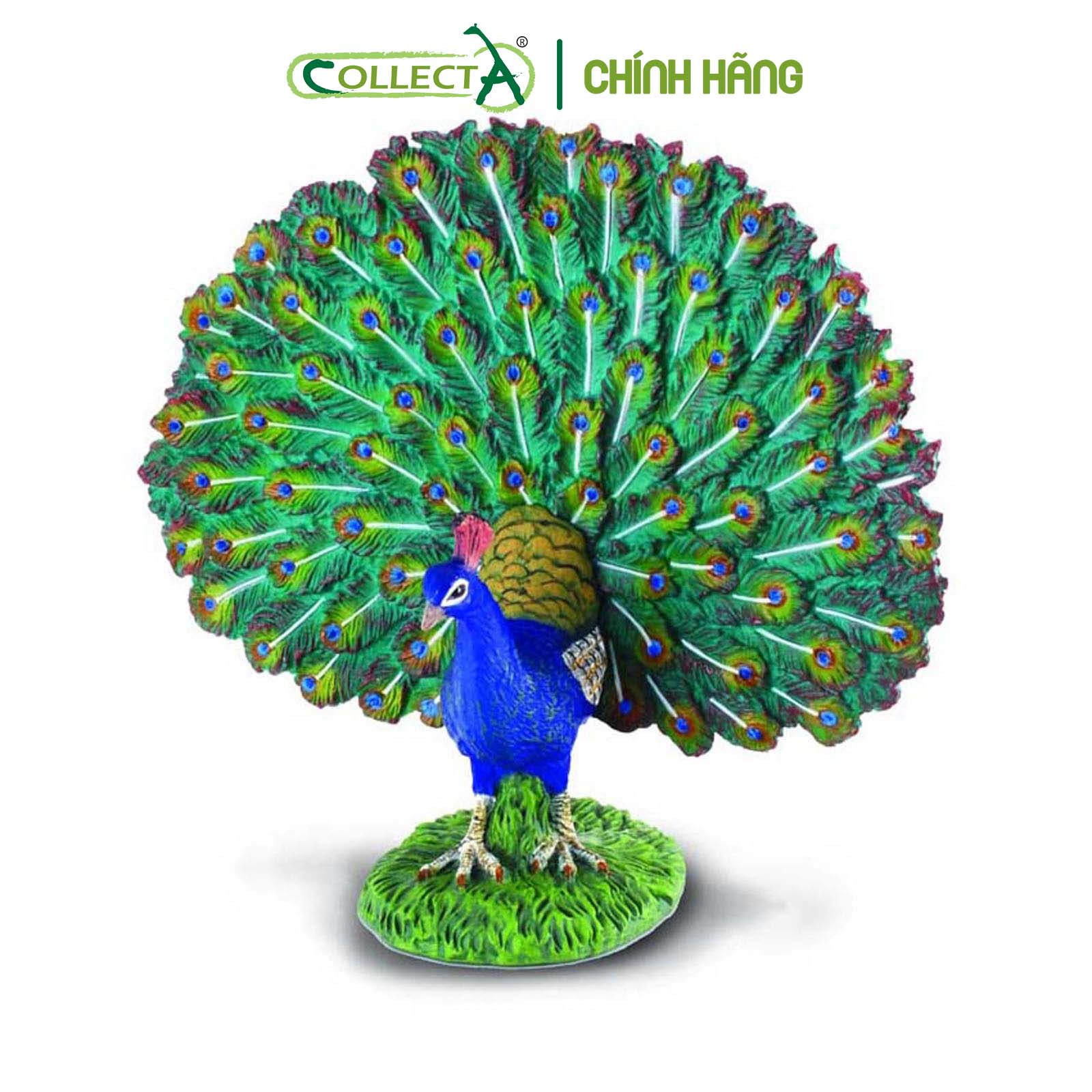 Mô hình thu nhỏ: Công - Peacock, hiệu: CollectA, mã HS 9651280[88209] -  Chất liệu an toàn cho trẻ - Hàng chính hãng