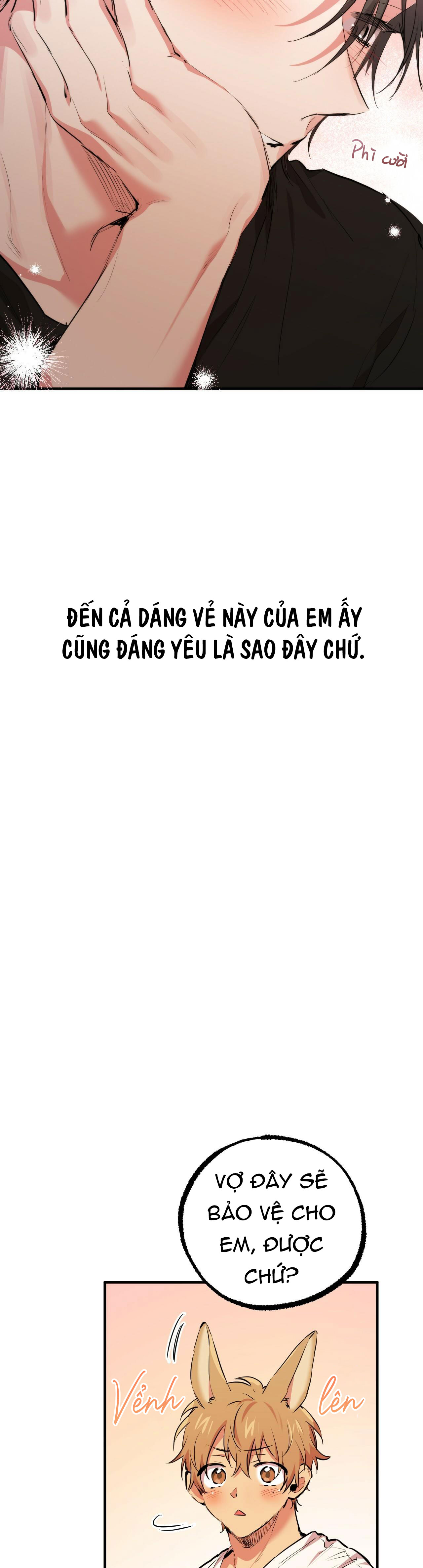những chú thỏ của hapypy chapter 35 50