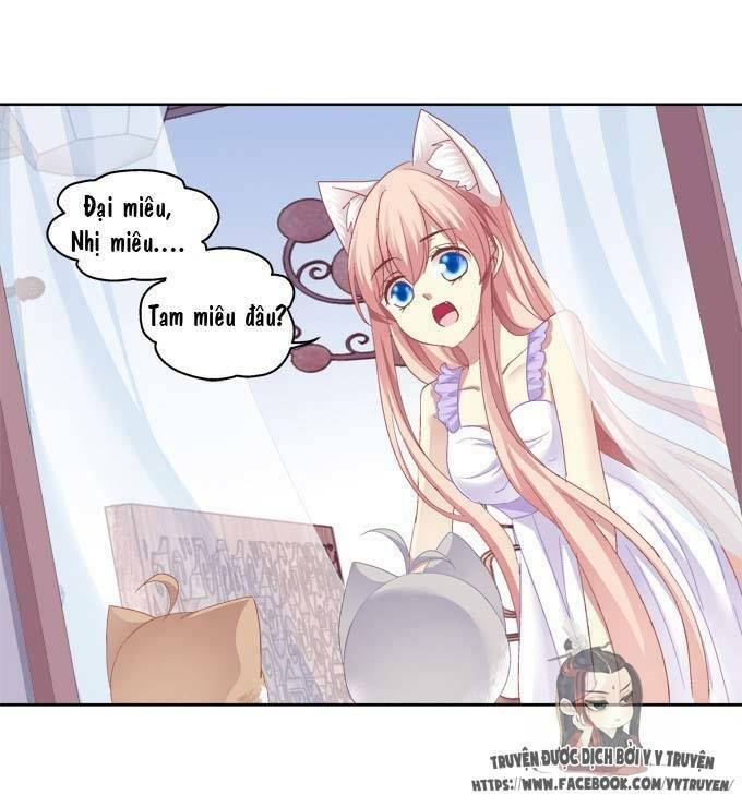 dụ hoặc miêu yêu chapter 20.5 16