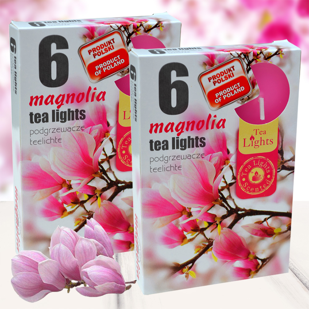 Combo 2 hộp 6 nến thơm tinh dầu Tealight Admit Magnolia - hoa mộc lan, nến trang trí, thơm phòng, thư giãn, khử mùi