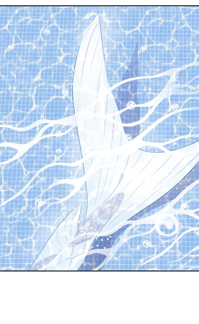 bộ váy của nàng tiên cá chapter 2 4