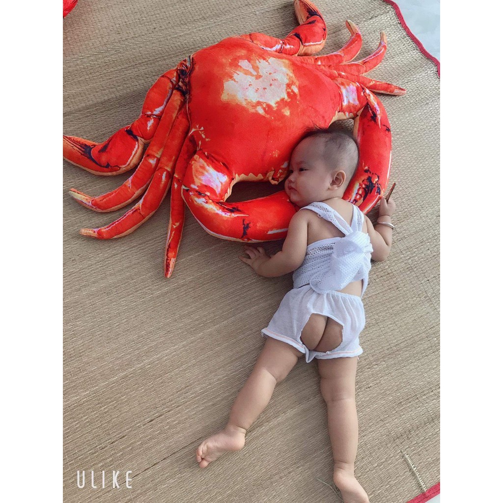 GẤU BÔNG CUA CÀ MAU , GHẸ BÔNG 3D SIÊU TO KHỔNG LỒ