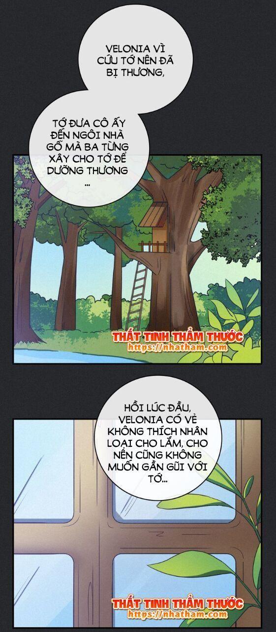 đêm tối chốn này chapter 12 42