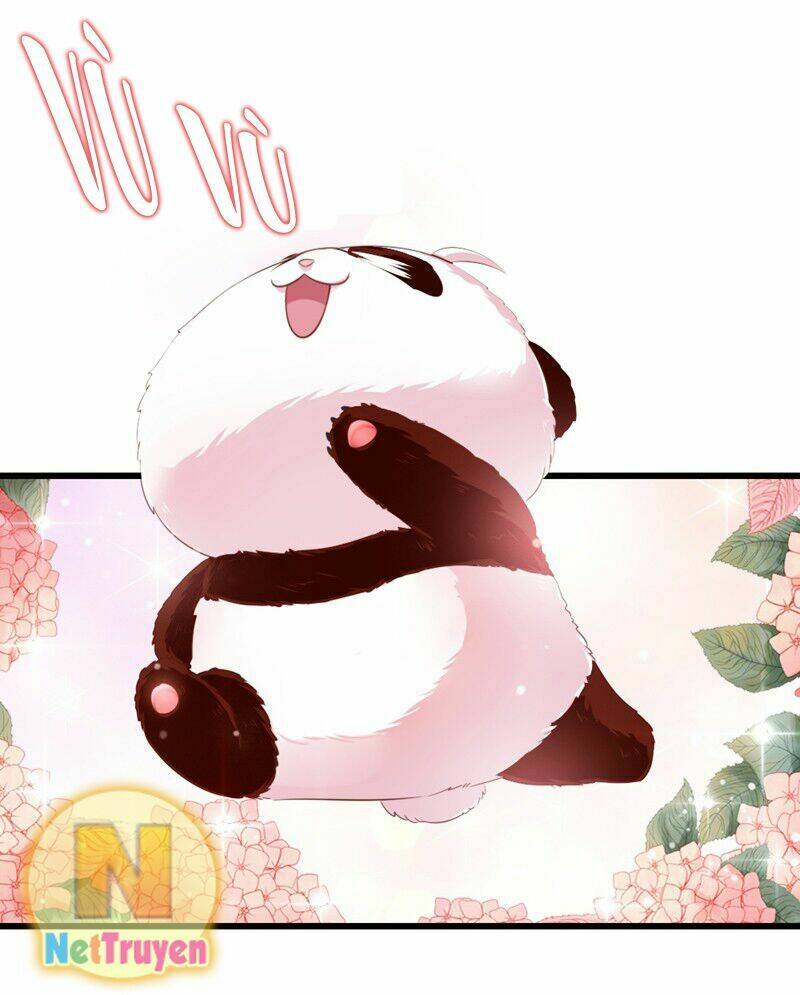 thiên thần gấu trúc muốn được ôm chapter 8 7