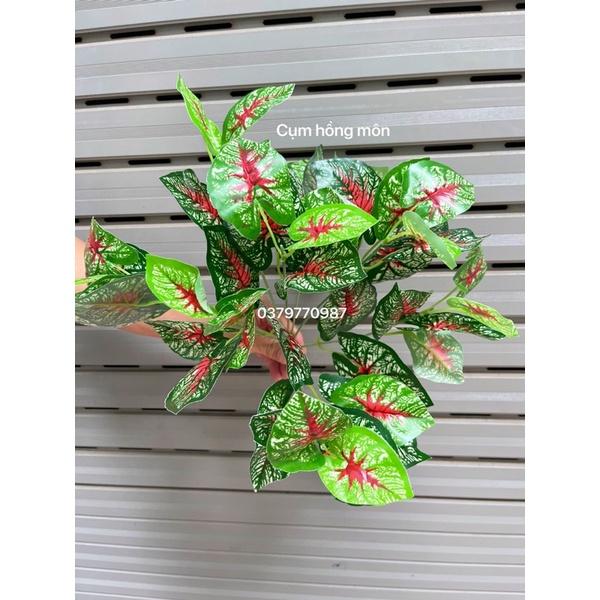 Cụm lá cắm tường cây, Hộp cây trang trí