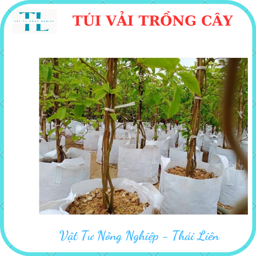 Túi vải trồng cây 2 quai, túi vải ươm dưỡng kích thước 40x40 siêu rẻ, siêu bền, tiện lợi, dễ sử dụng