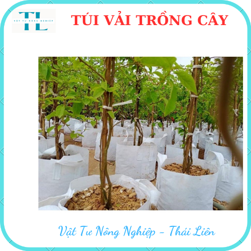 [Siêu dày]Túi vải trồng cây 2 quai, túi vải ươm dưỡng  kích thước 40x40 siêu rẻ, siêu bền, tiện lợi, dễ sử dụng