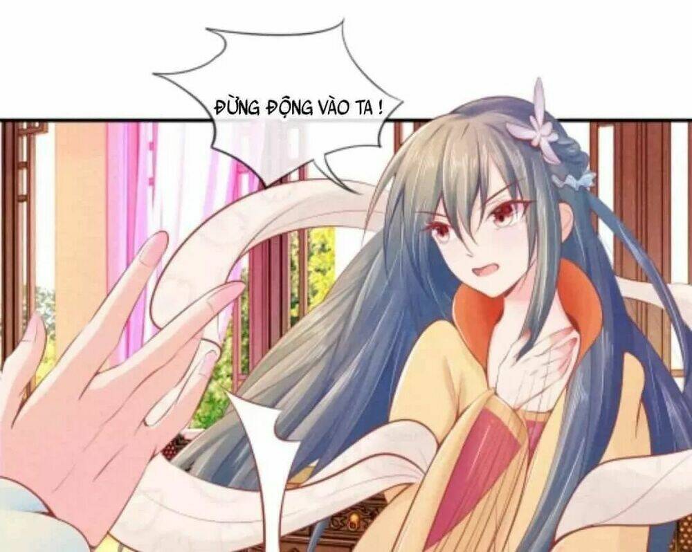 y phi quyền khuynh thiên hạ chapter 5 13