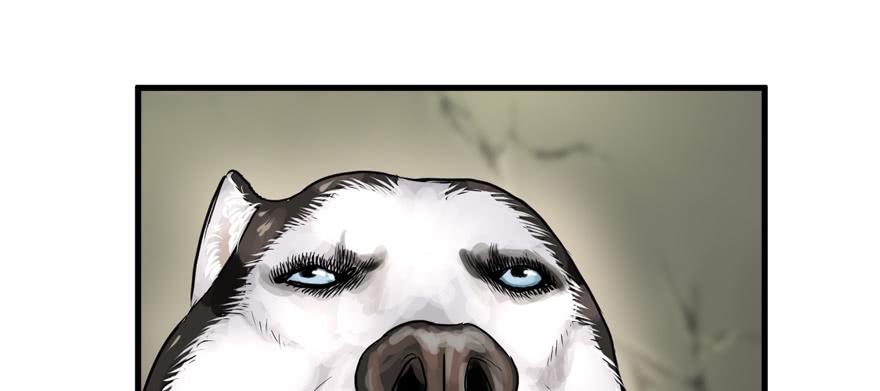 vua sinh tồn chapter 62 66