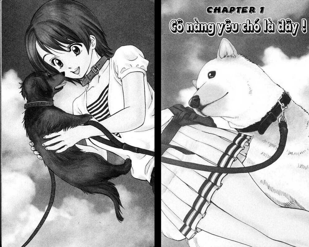 cô nàng yêu chó chapter 1 3