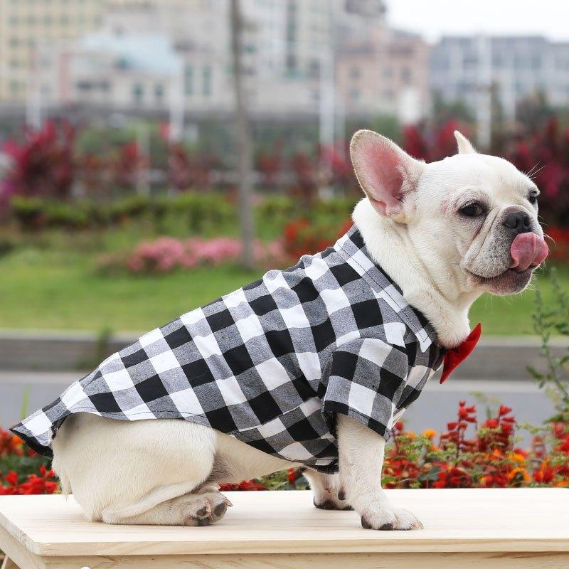 [Có Size 4XL] Áo sơ mi có nơ đi biển cho Chó Mèo , thời trang mùa hè dành cho cún cưng