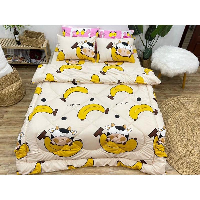 Bộ Chăn Ga Gối Cotton Poly 5 Món