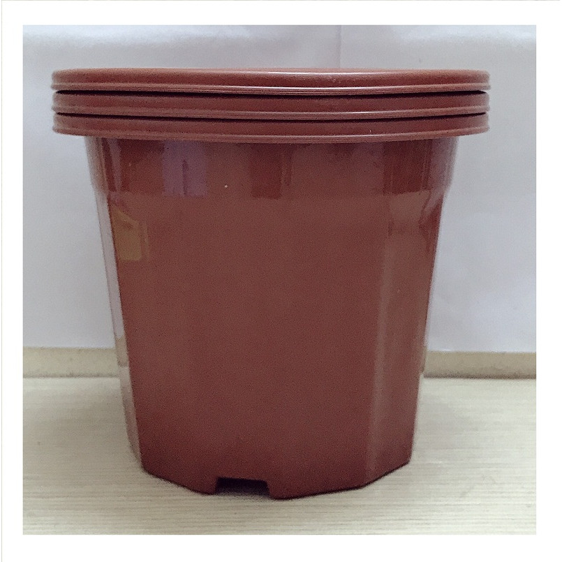 3 Chậu Nhựa Trồng Hoa, Cây Cảnh E230 CN