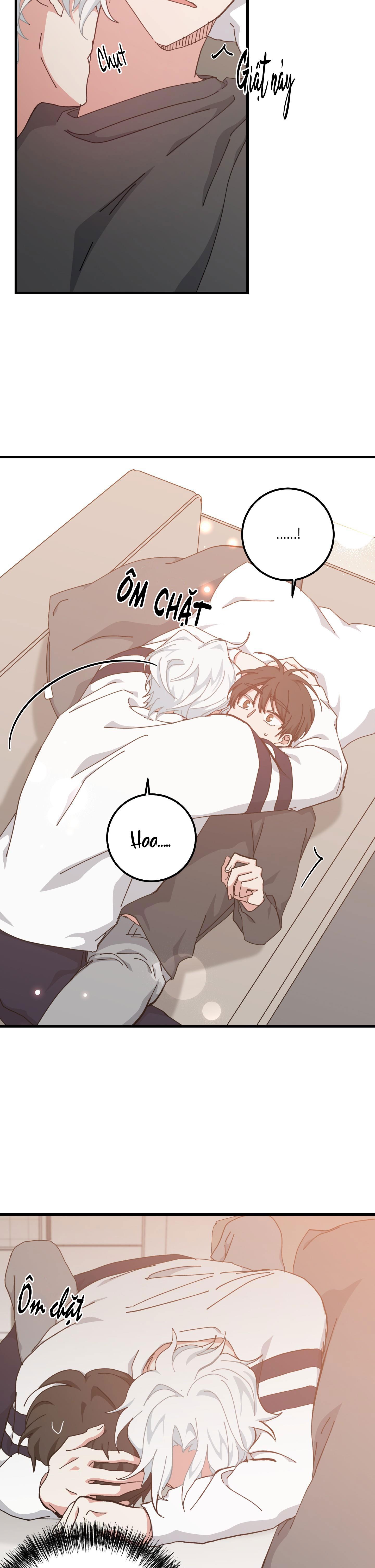 yêu tôi đi, thần hộ mệnh chapter 40 18