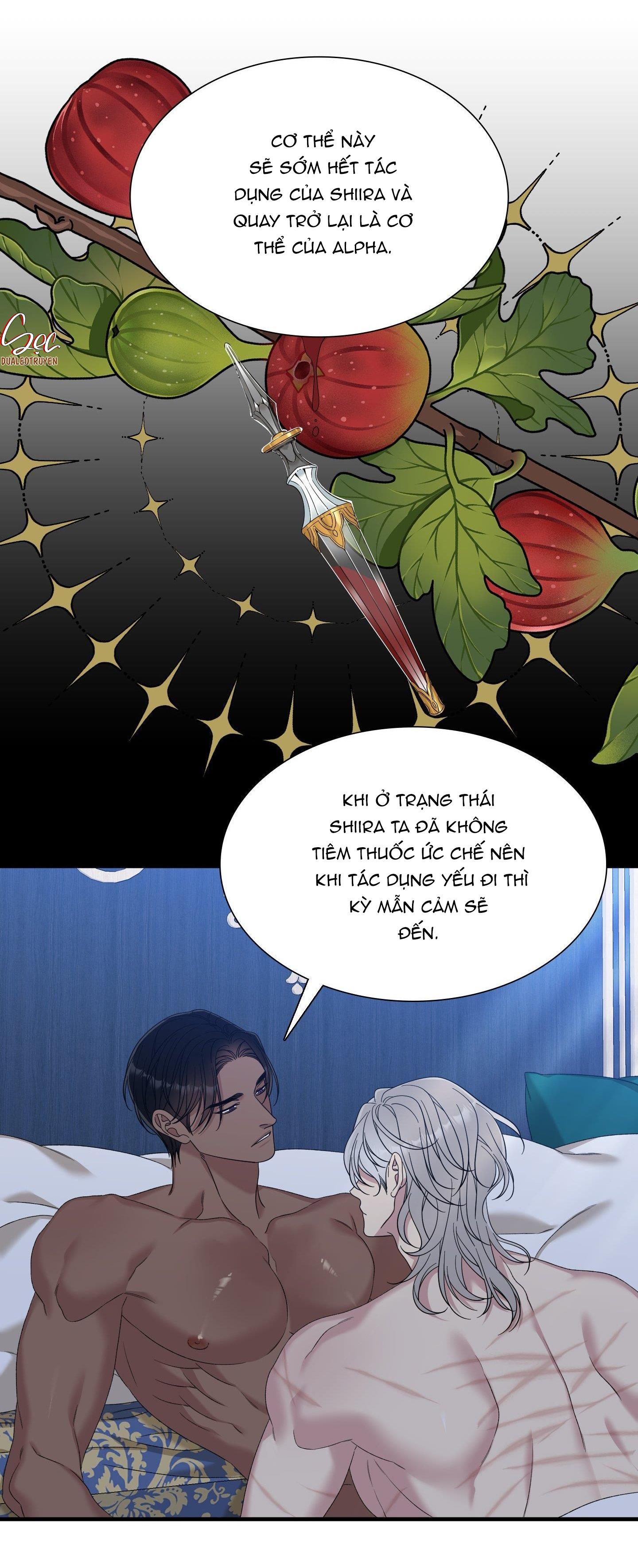 smyrna và capri chapter 48 40