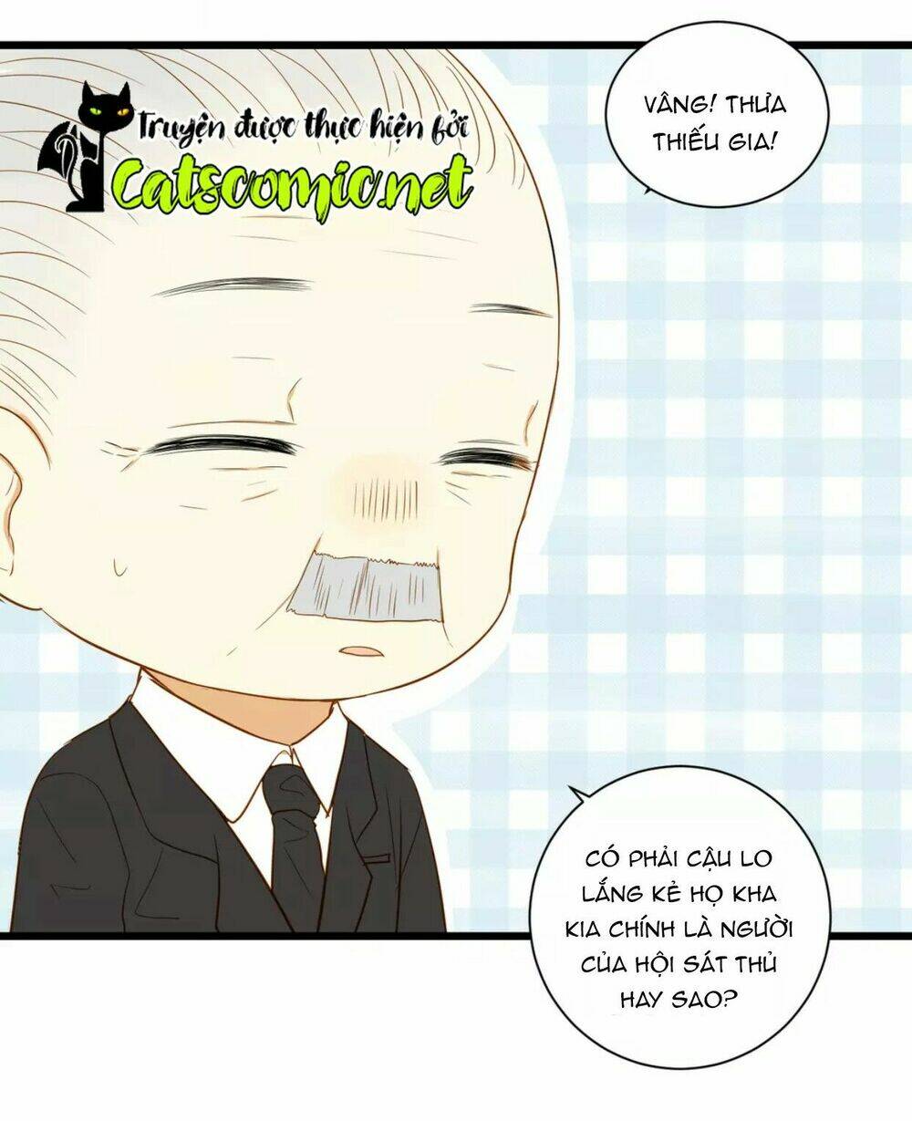 điều giáo quan hệ chapter 15 35