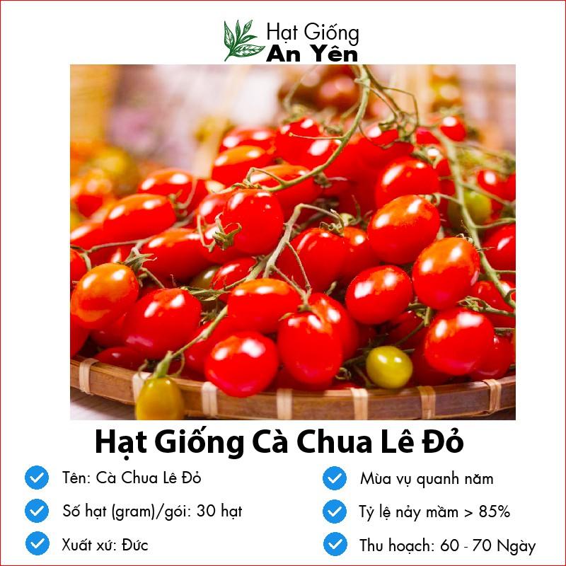 Hạt giống Cà Chua Cherry Lê Đỏ thu hoạch sớm, dễ trồng, nảy mầm cao, sinh trưởng khoẻ