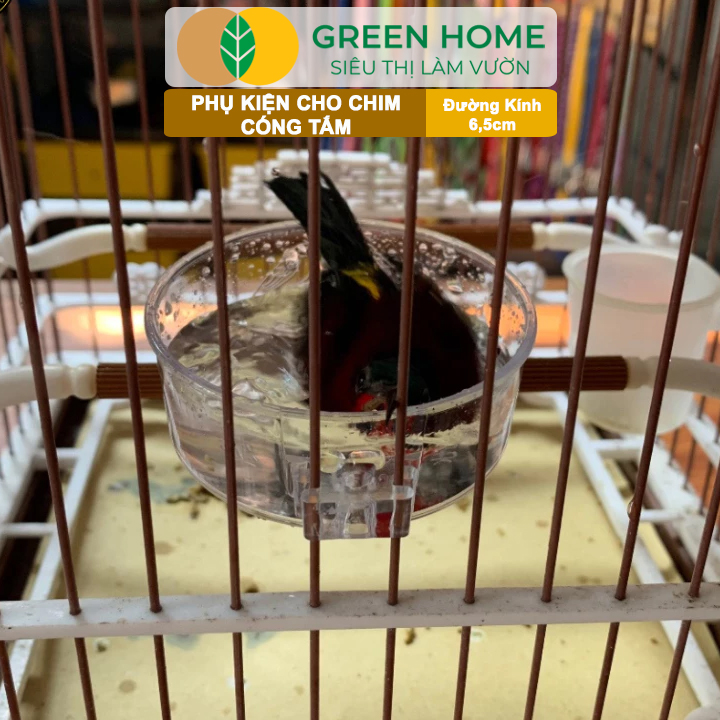 Cóng Tắm Cho Chim GreenHome, Nhựa Mica, Cho Chim Hút Mật, Khuyên, Chòe Đất, Yến,.. Siêu Bền, Nhỏ Gọn