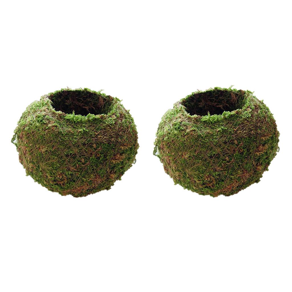 3 Xanh Rêu Bóng Hoa Thực Vật Chứa Cây Cảnh Trang Trí Sân Vườn