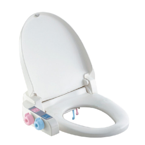 Nắp bồn cầu chỉnh tay Panasonic DL-AF15RW Kháng Khuẩn - Hàng chĩnh hãng