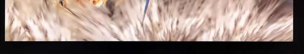 tuyệt thế vô song 2 chapter 57 38