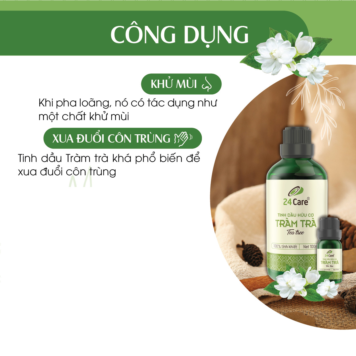 Tinh dầu Tràm Trà 24Care 10ML - Chiết xuất thiên nhiên, thanh lọc không khí, mùi hương trầm ấm, giảm căng thẳng, cân bằng cảm xúc.