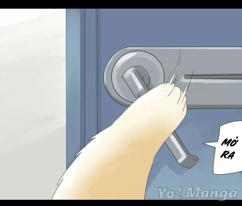 một con chó chapter 24 13