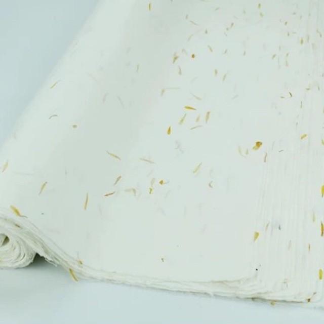 Giấy ép hoa lá khổ lớn 34x68cm