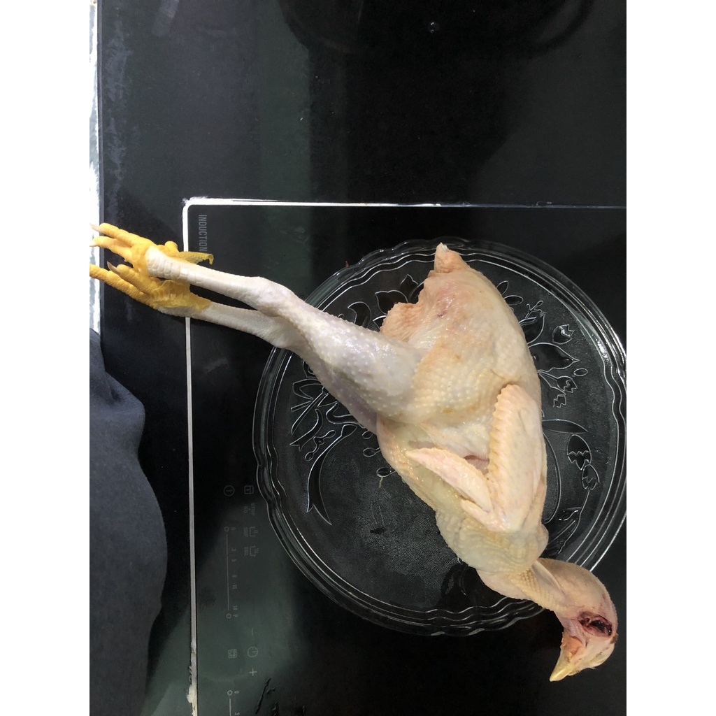 Gà Ta Bến Tre Thả Vườn Bao Ngon Nguyên Con Từ 1kg Đến 1,2kg trở lên dai và ngọt từng xớ thịt của loại gà nuôi gia đình miền thôn quê