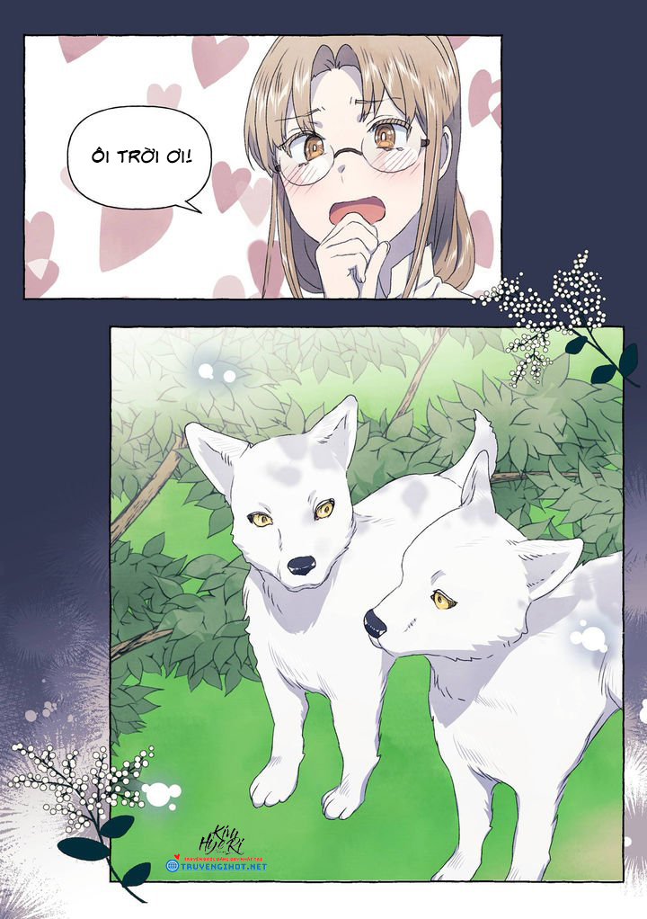 mối tình đầu của chàng sói khờ chapter 28 4