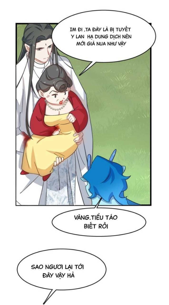 độc bộ thiên hạ: đặc công thần y chapter 167 10