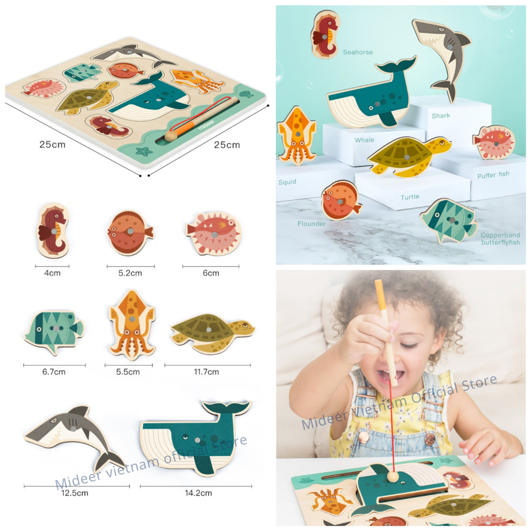 Bộ đồ chơi câu cá Mideer Fishing Board, Đồ chơi trí tuệ cho bé 1,2,3,4,5 tuổi