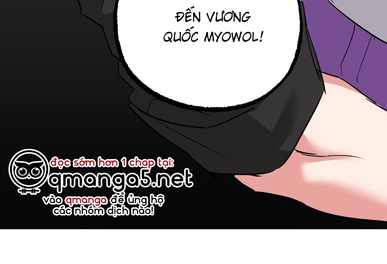 những chú thỏ của hapypy chapter 61 8