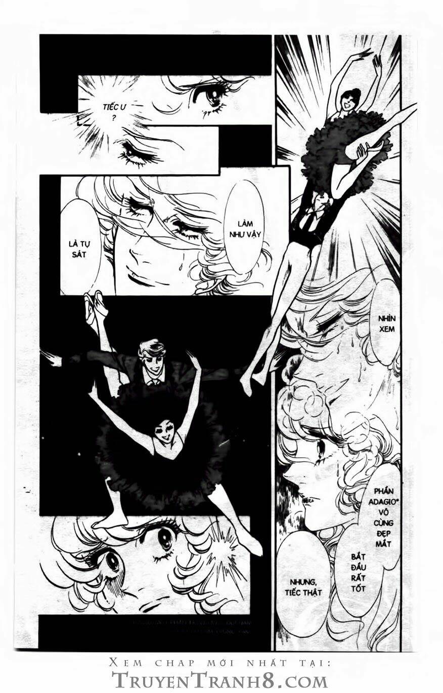 swan - vũ khúc thiên nga chapter 101 8