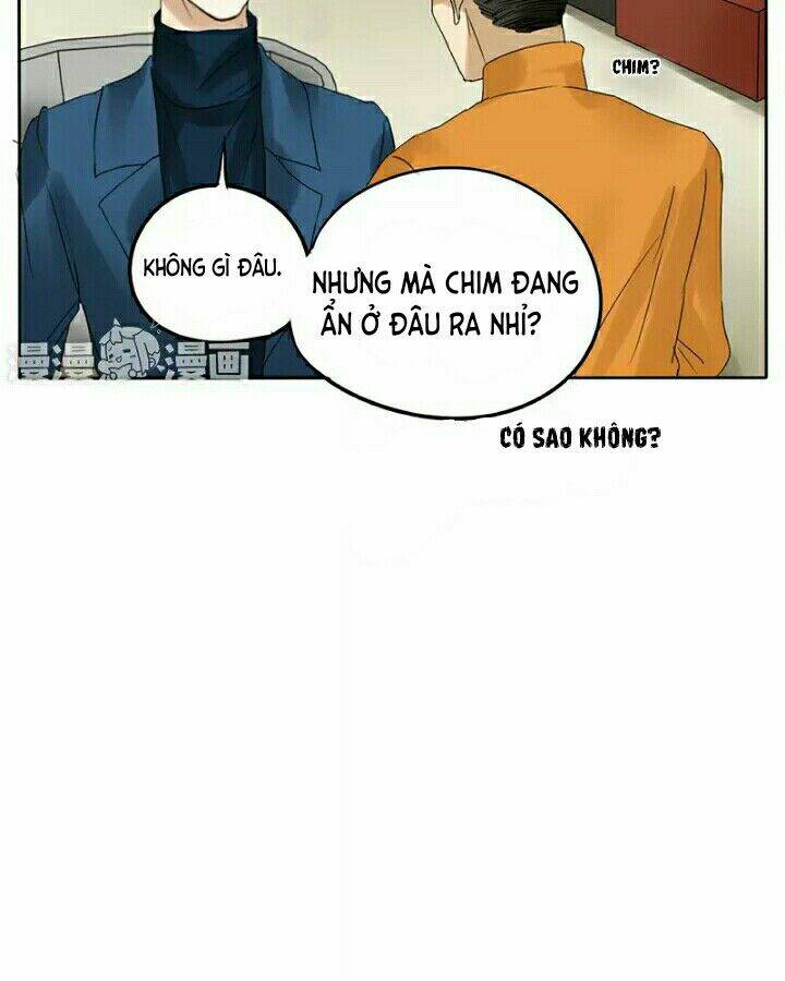 trẫm không phải là đại minh tinh chapter 6 14