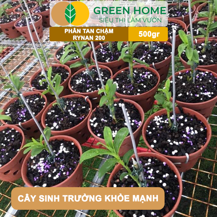 Phân Tan Chậm GreenHome, Rynan 200, Bao 500gr, Dành Cho Giai Đoạn Phong Lan Cây Con, Kích Chồi
