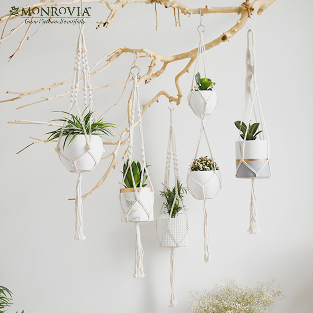 Combo 4 dây treo chậu cây Macrame MONROVIA, trang trí trong nhà, sân vườn, đan thủ công tỉ mỉ, Tiêu chuẩn Châu Âu