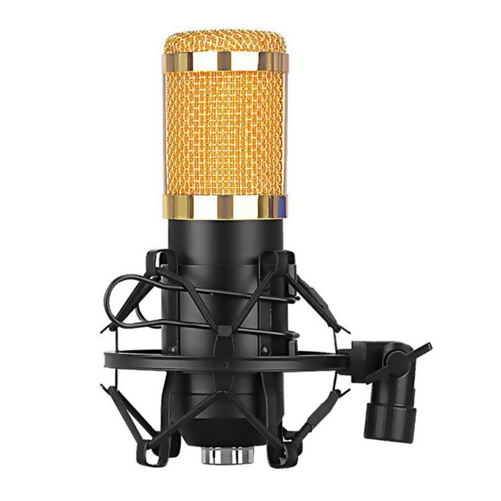 Condenser Microphone Large Diaphragm MIC for Broadcasting/Studio Recording