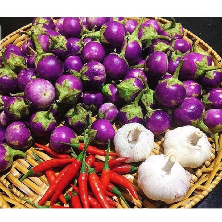 Giống cà pháo tím F1