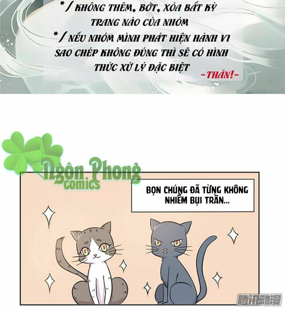 hai chú mèo totem chapter 17 3