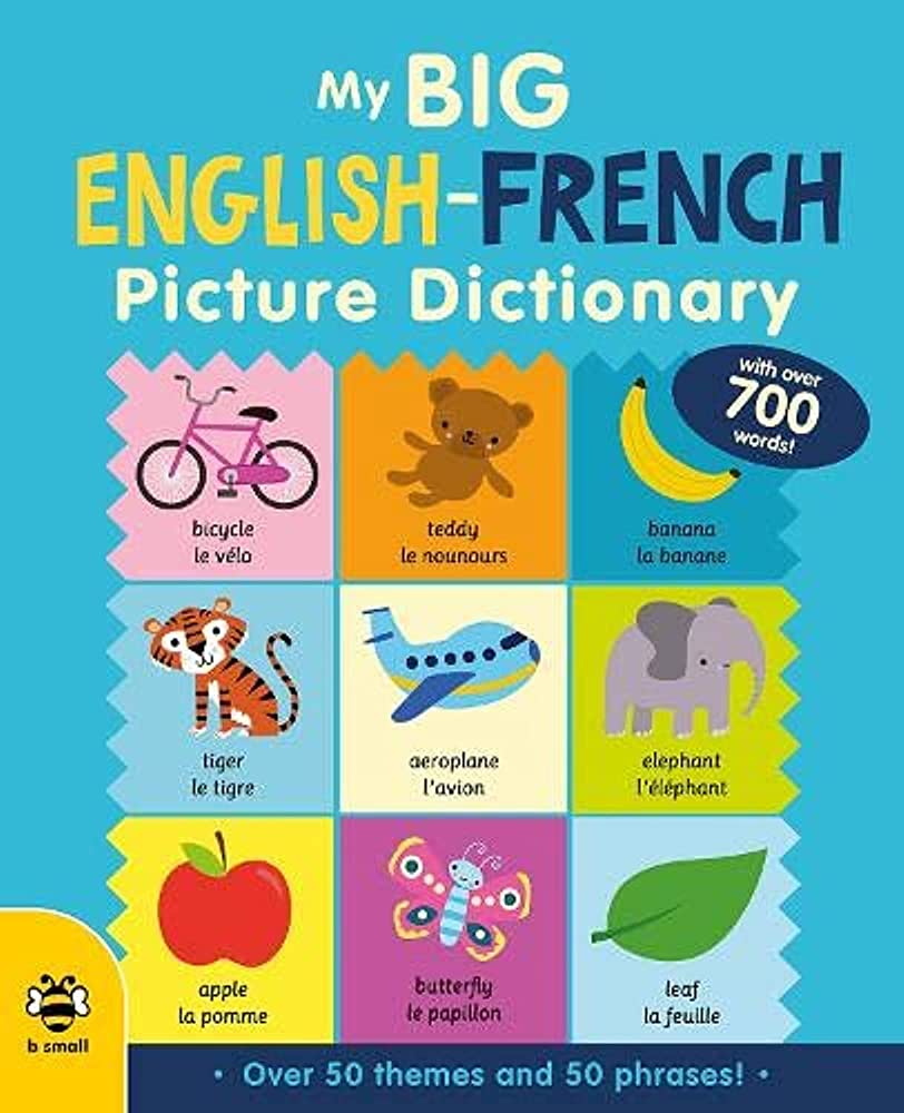 Sách học từ vựng song ngữ Anh-Pháp cho bé tiếng Anh: Big Picture Dictionaries: My Big English-French Picture Dictionary