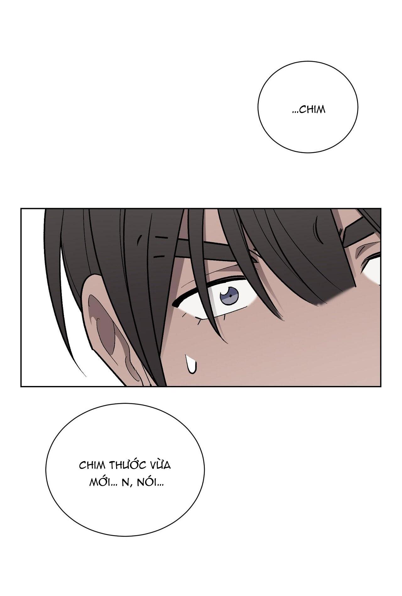 khi chim thước đến chapter 13 36