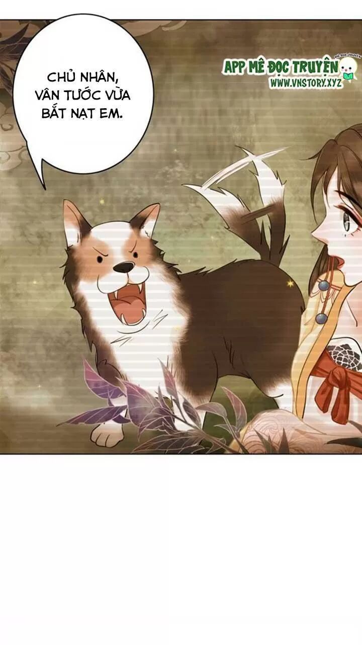 cực phẩm phế vật tiểu thư chapter 61 5