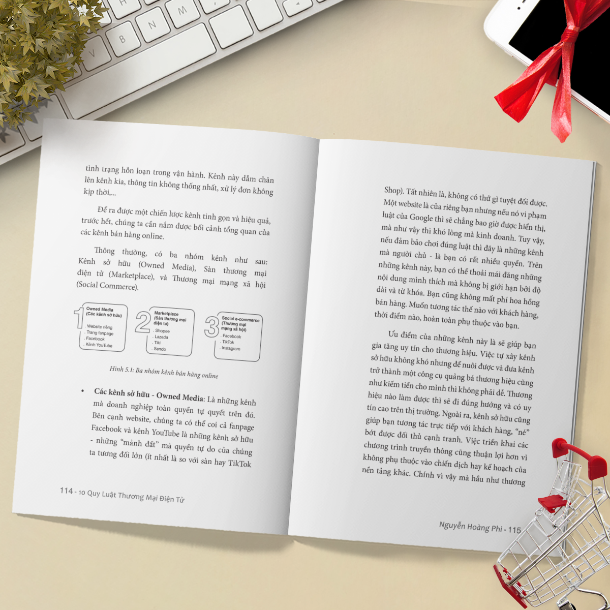 10 Quy Luật Thương Mại Điện Tử - Bộ Sách Trên Lưng Khổng Tượng - Kinh Doanh Online - Để Thích Nghi Và Giành Chiến Thắng Trong Thời Đại 4.0