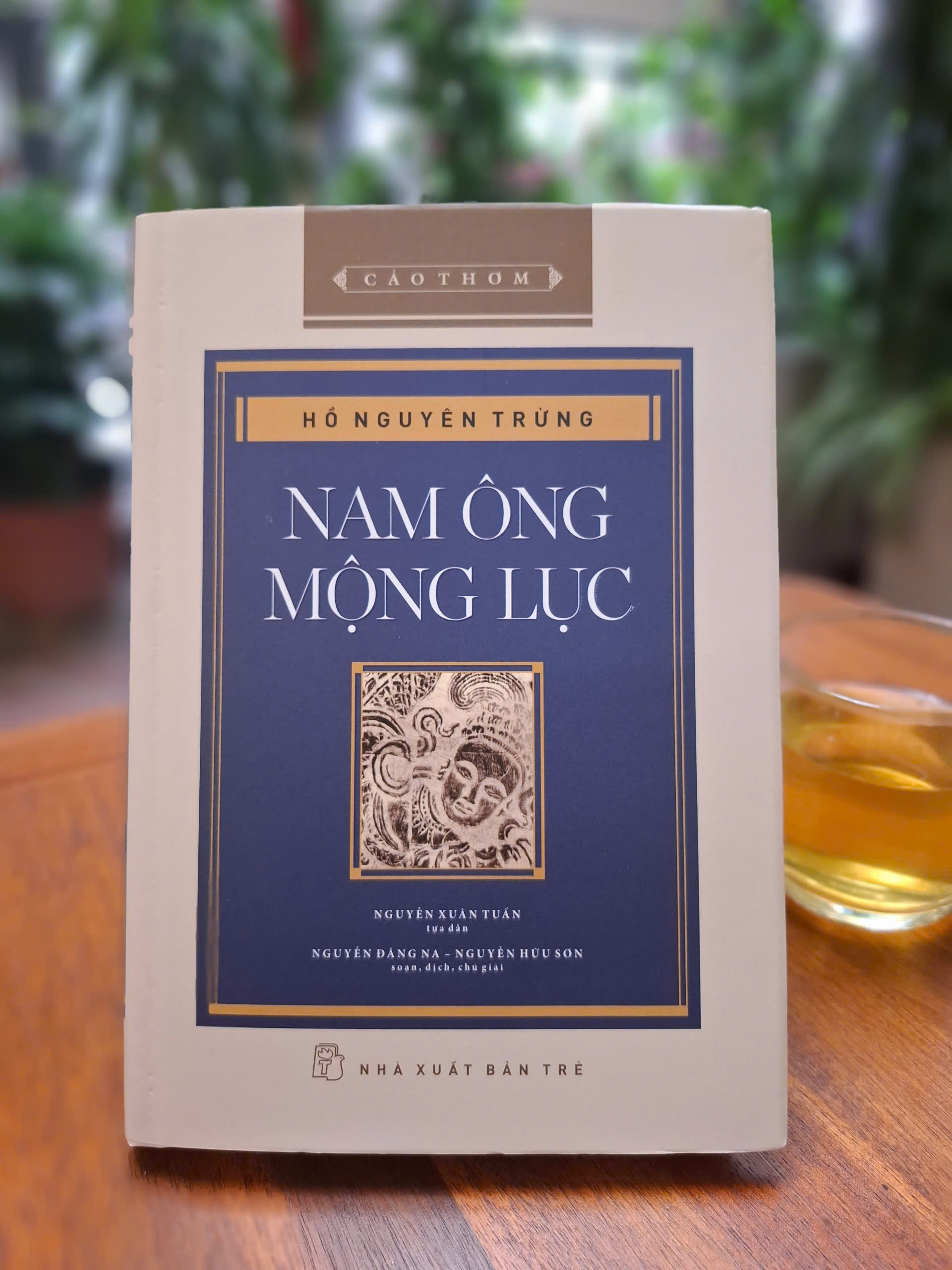 NAM ÔNG MỘNG LỤC - Hồ Nguyên Trừng – NXB Trẻ